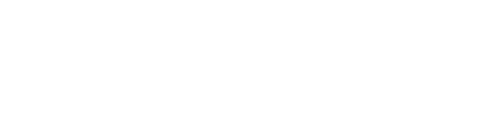 Pacific Prime Logo
